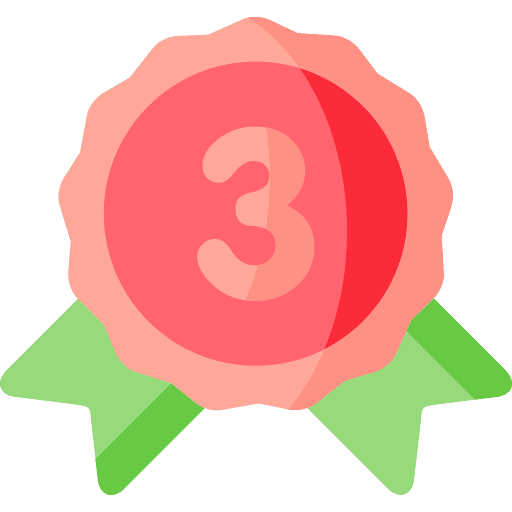 2° Lugar